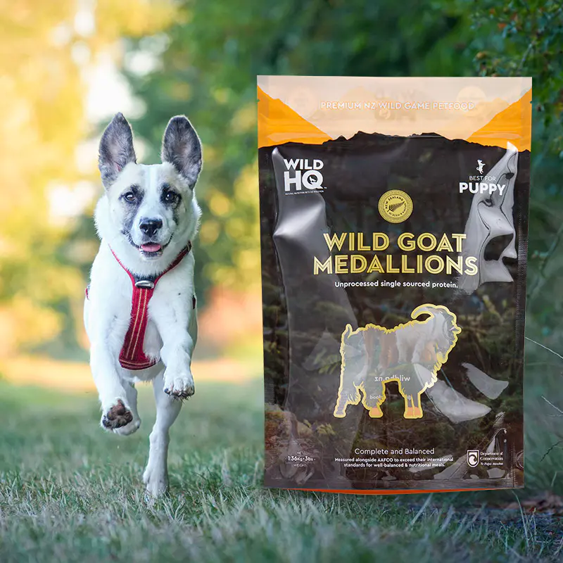 Kleurrijke, milieuvriendelijke digitale print-koffietas met laag zakje